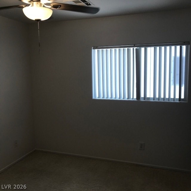 3955 Coyote Brush - Photo 11