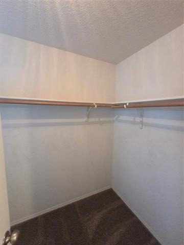 8138 Mossberg Drive - Photo 23