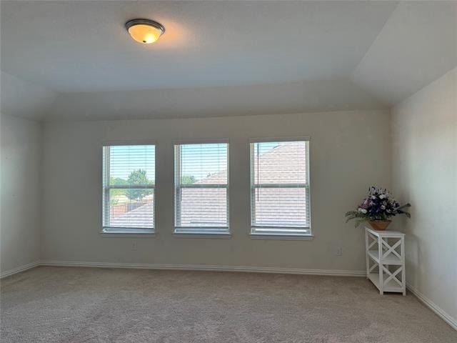 9125 Acre Meadows Lane - Photo 18