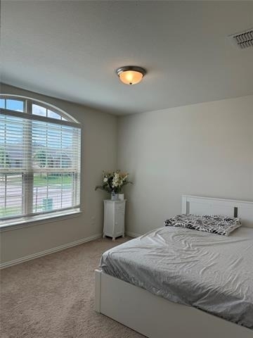 9125 Acre Meadows Lane - Photo 13