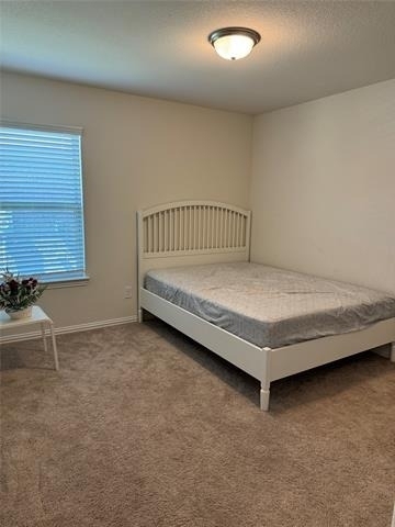 9125 Acre Meadows Lane - Photo 8