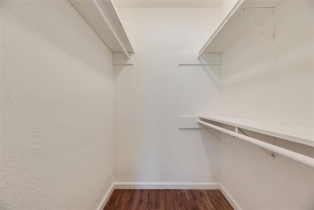 5109 Cedar Springs - Photo 9