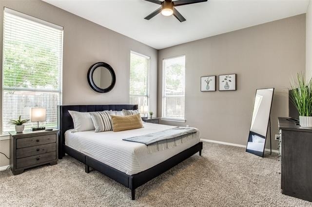 5848 Palomino Drive - Photo 12