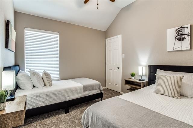 5848 Palomino Drive - Photo 20