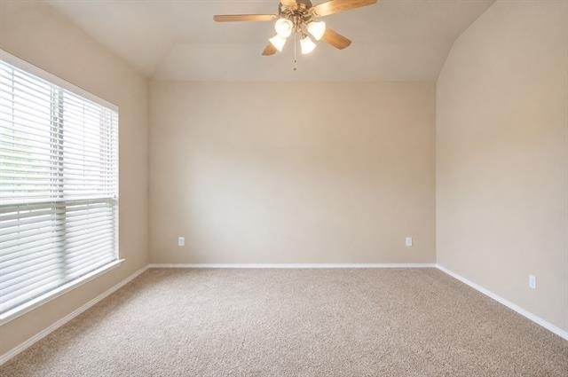 11513 Emory Trail - Photo 4