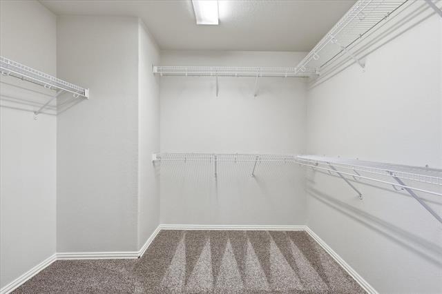 1551 Meadow Run Drive - Photo 23