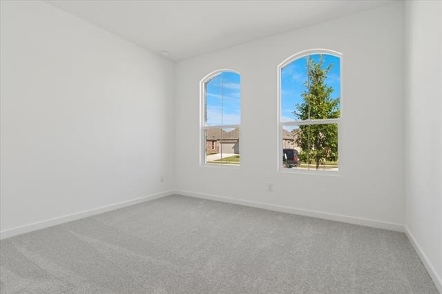 1805 Alpine Larch Lane - Photo 20