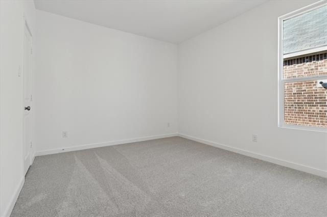 1805 Alpine Larch Lane - Photo 22