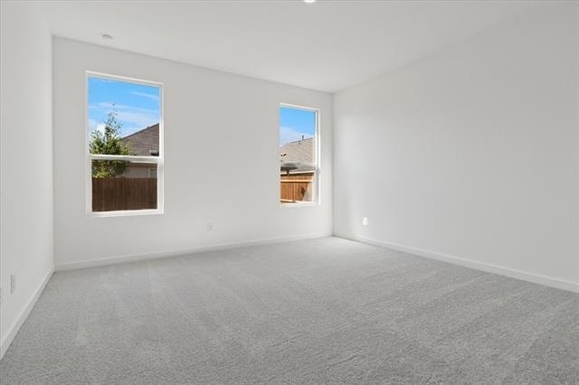 1805 Alpine Larch Lane - Photo 12