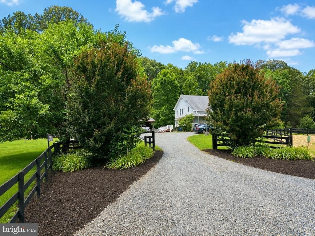 559 Holly Corner Road - Photo 4