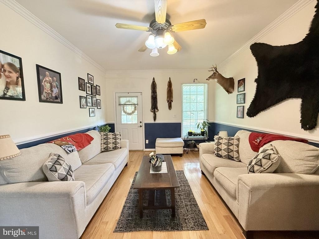 559 Holly Corner Road - Photo 13