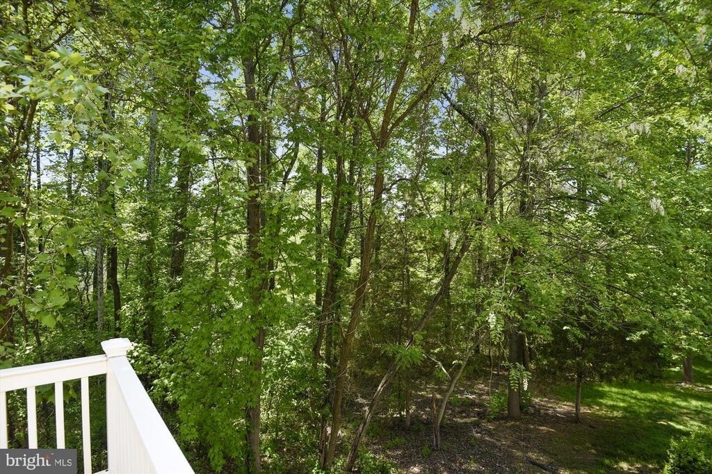 6087 Piney Woods Court - Photo 25