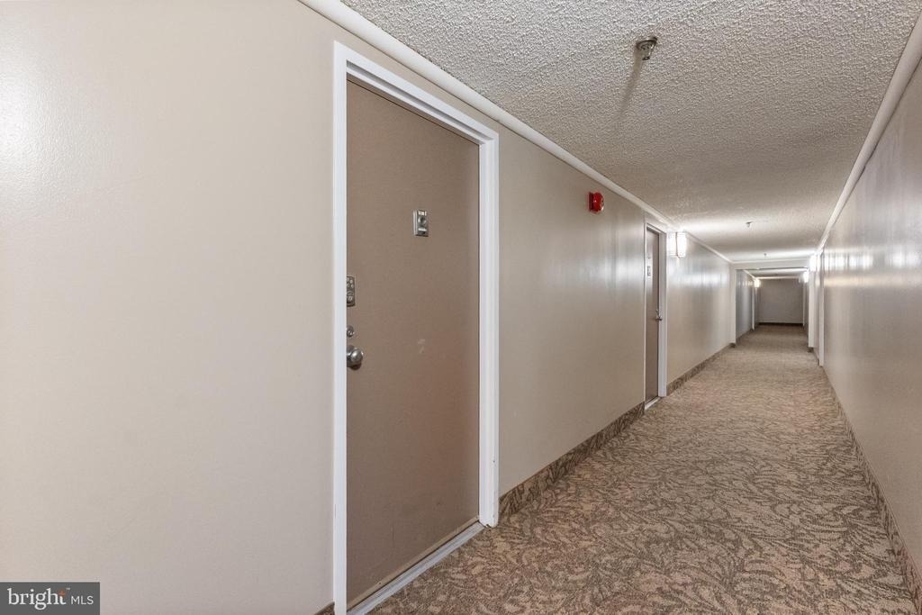5911 Edsall Road - Photo 1