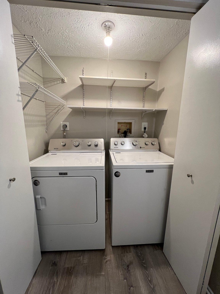 16337 Pewter Lane - Photo 5
