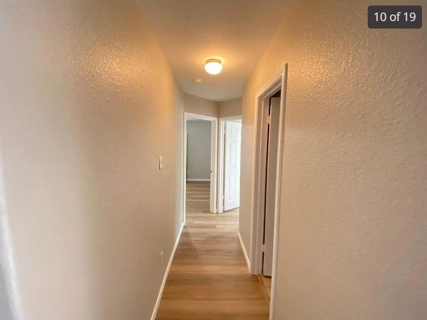 1413 Haley Gray Dr - Photo 11