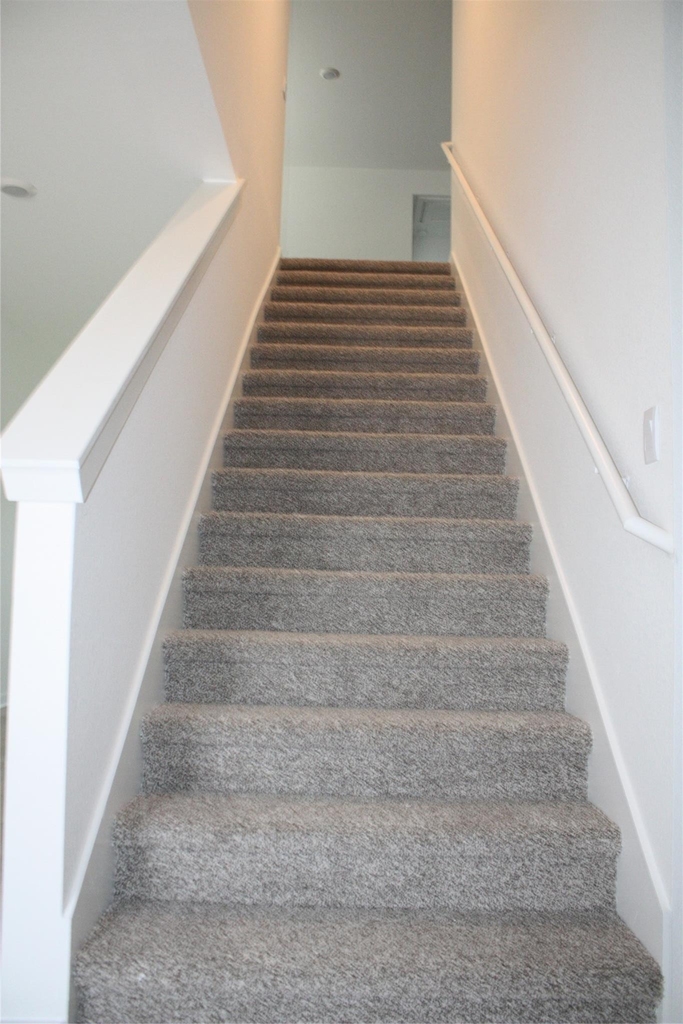 10109 Curb Strap Dr - Photo 7
