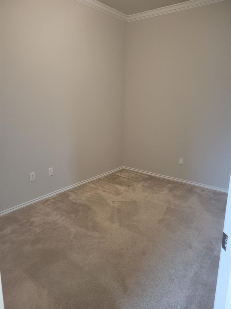 221 Compania Dr - Photo 16