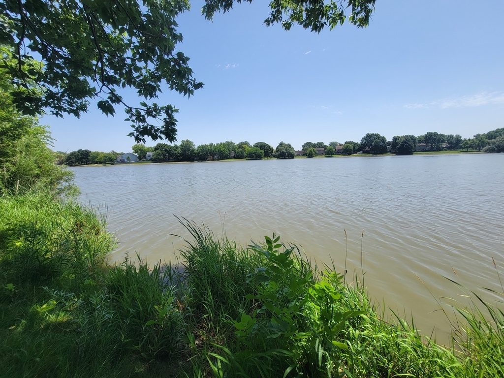 2211 Dorchester Court - Photo 14