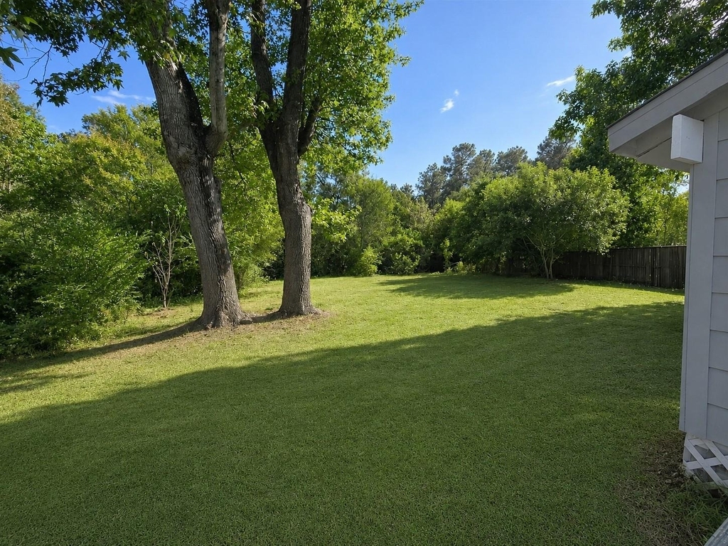 227 Live Oak Lane - Photo 3