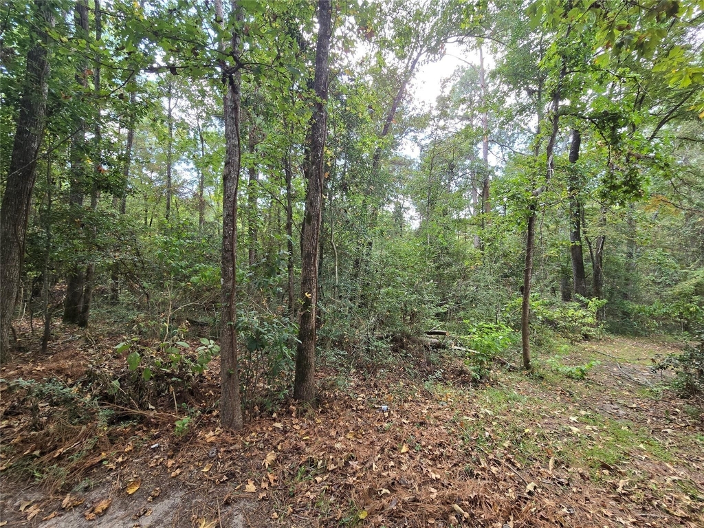 573 Bluebonnet - Photo 15