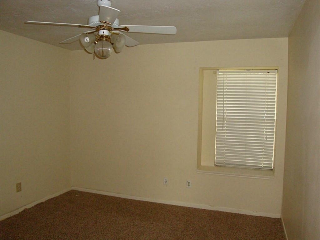 6806 Caddo Lake Lane - Photo 9