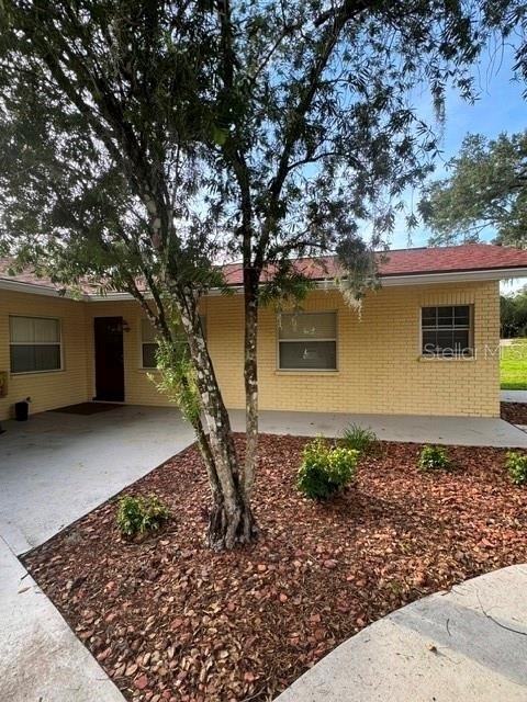 37623 Camphor Drive - Photo 0