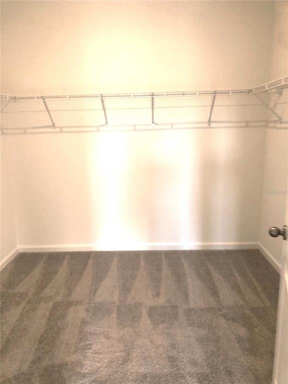 1314 Dalkeith Cv - Photo 17