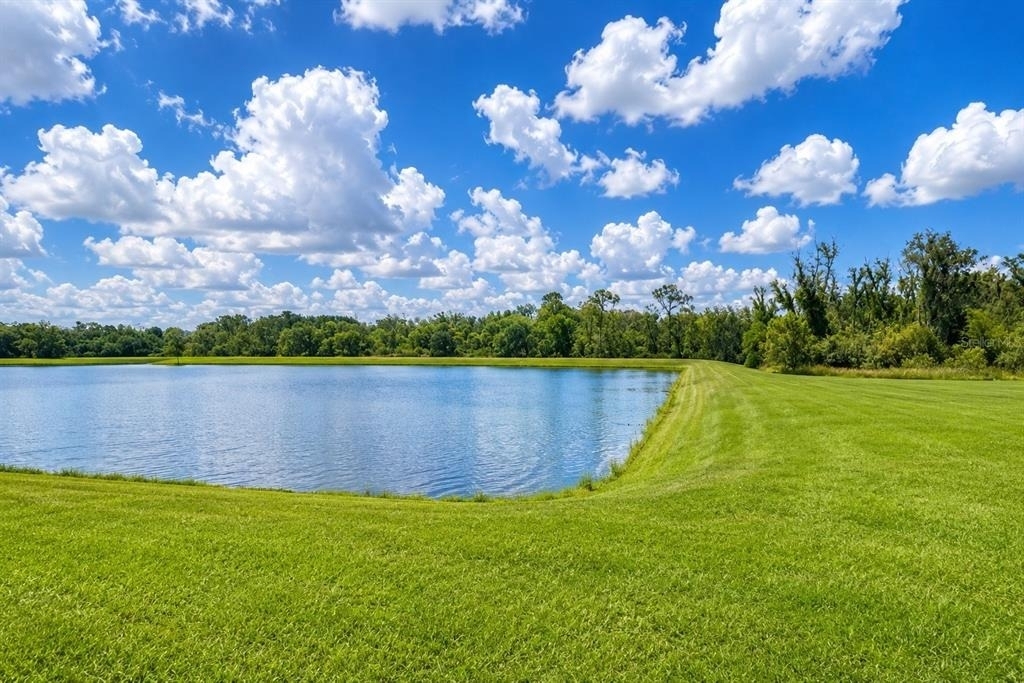 17132 White Mangrove Drive - Photo 2