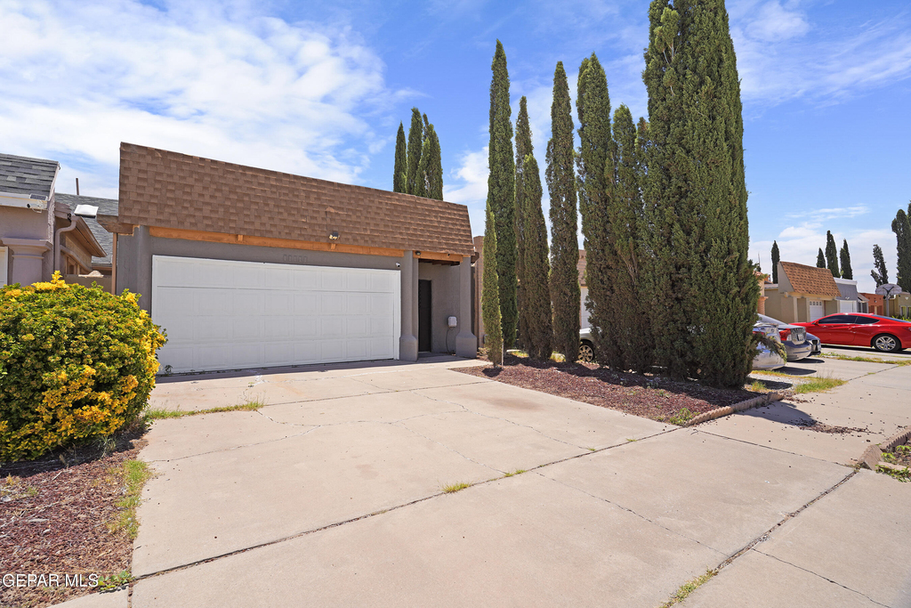 10720 Chert Street - Photo 1