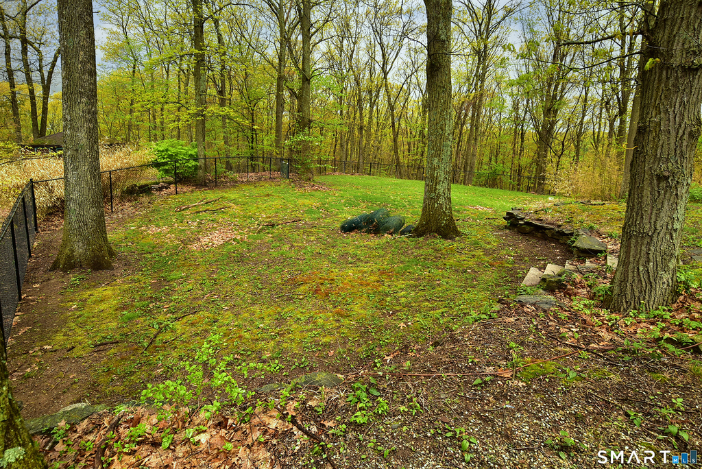 26 Upper Butcher Road - Photo 5