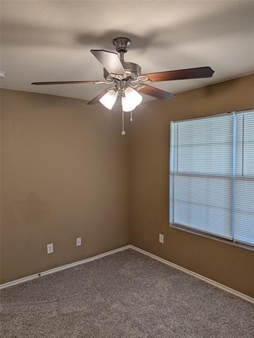 9949 Sparrow Hawk Lane - Photo 11