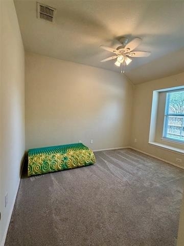 3017 Sweetleaf Drive - Photo 13
