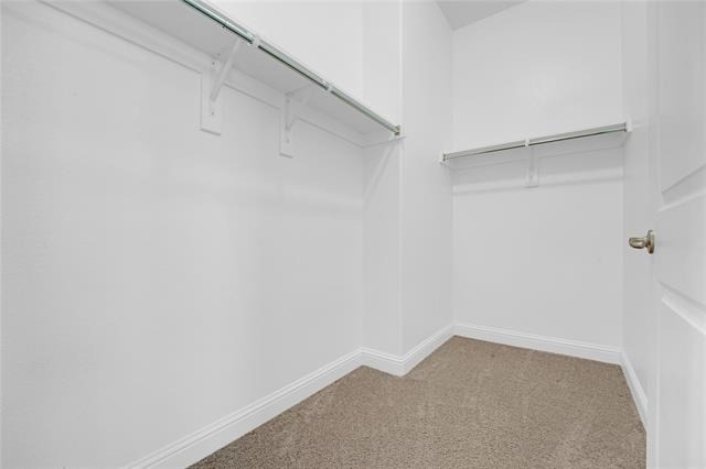 1011 Prairie Ridge Lane - Photo 9