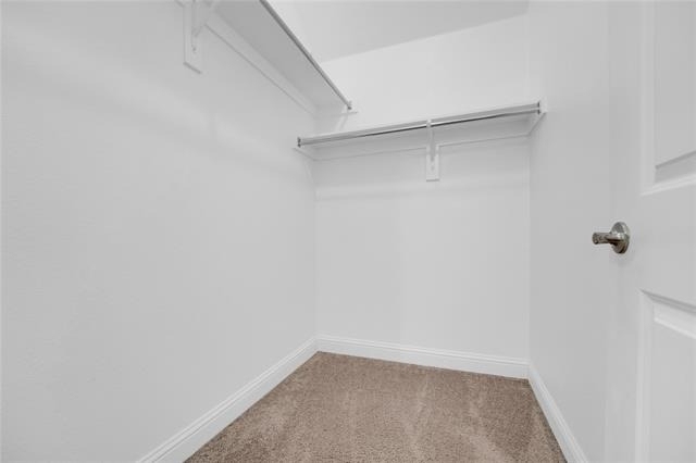 1011 Prairie Ridge Lane - Photo 14