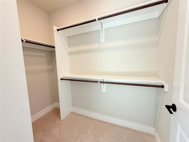 3255 Carlisle Street - Photo 11