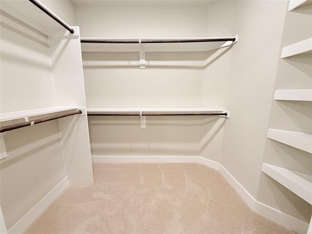 3255 Carlisle Street - Photo 7