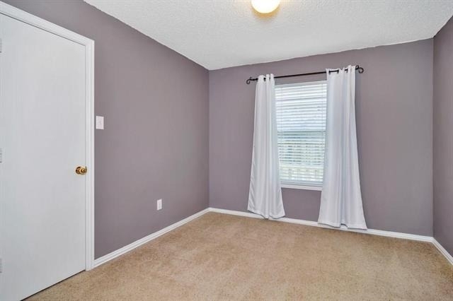 655 Mustang Court - Photo 8