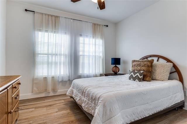 250 Alondrita Street - Photo 14