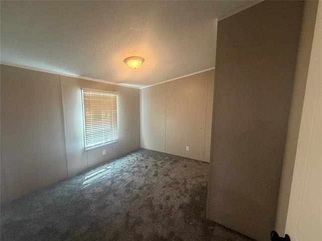 3502 Brazos River Drive - Photo 10