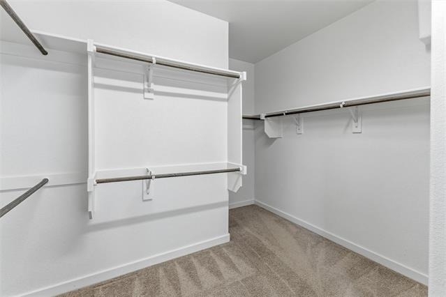 305 Evans Drive - Photo 19