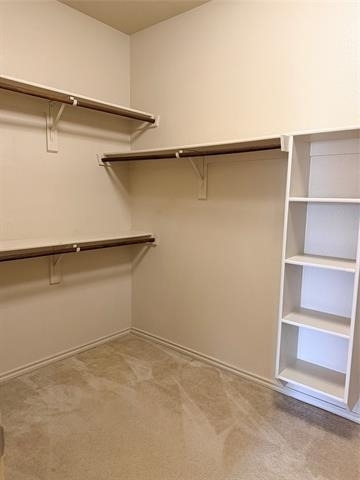 1716 Deer Crossing Drive - Photo 21