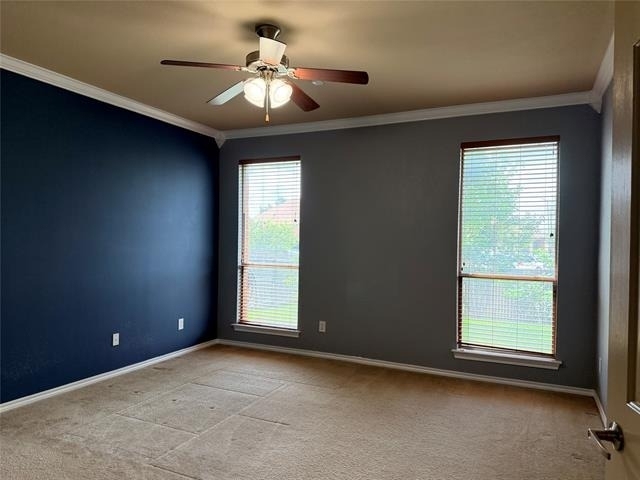 1716 Deer Crossing Drive - Photo 16