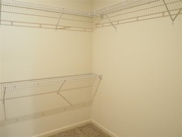 13832 Musselshell Drive - Photo 20