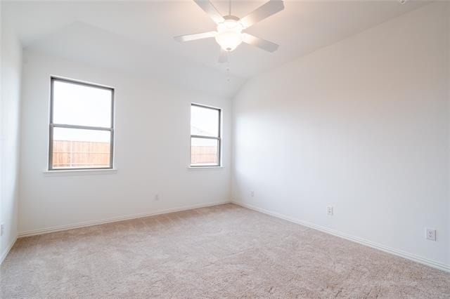 3804 Chicory Court - Photo 14
