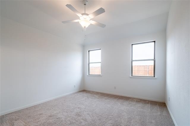 3804 Chicory Court - Photo 11