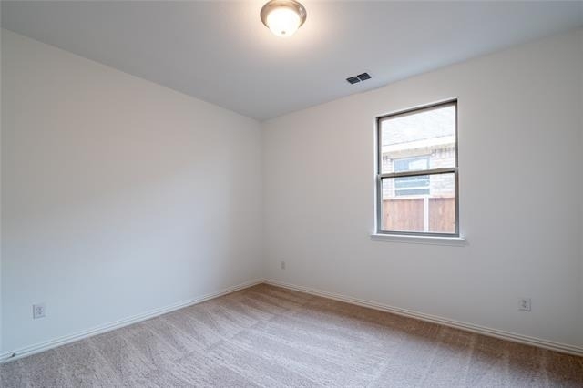 3804 Chicory Court - Photo 20