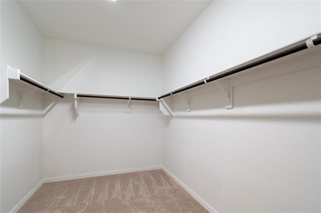 3804 Chicory Court - Photo 18