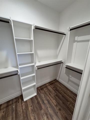 8142 Sawdust Trail - Photo 11