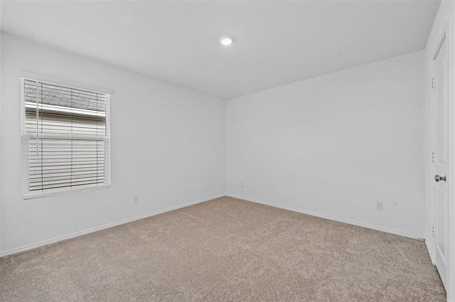 135 Wheatgrass Lane - Photo 13
