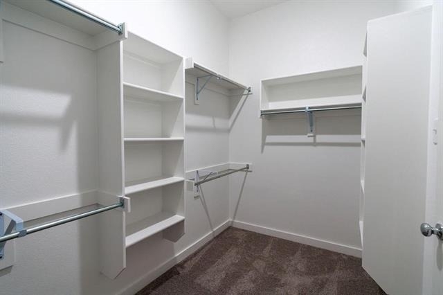 4802 Ellison Drive - Photo 13